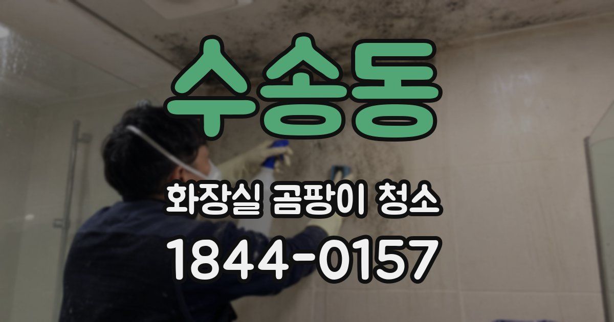 수송동 화장실 곰팡이 청소