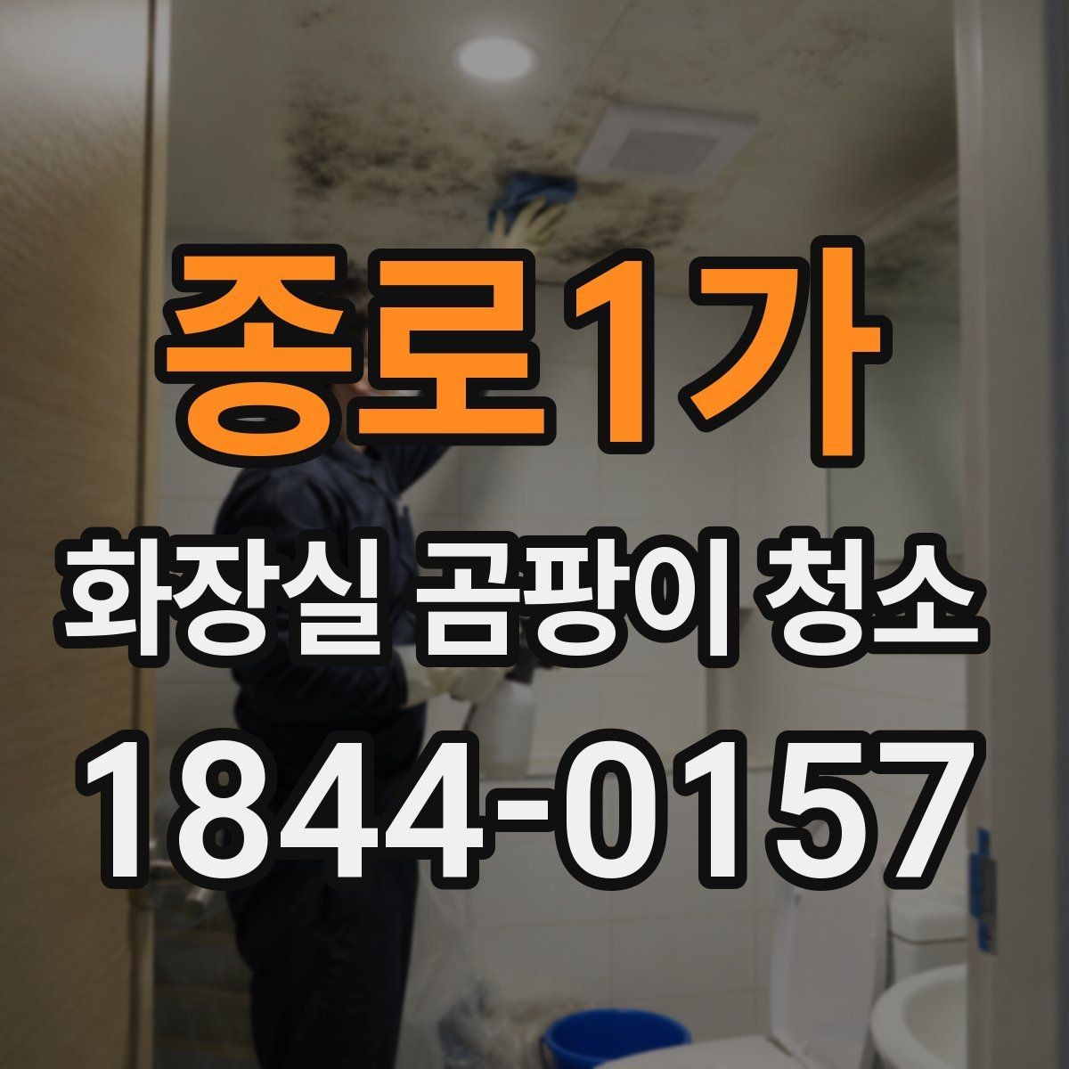 종로1가 화장실 곰팡이 청소 냄새가 배는 환경을 줄이는 환기 습관