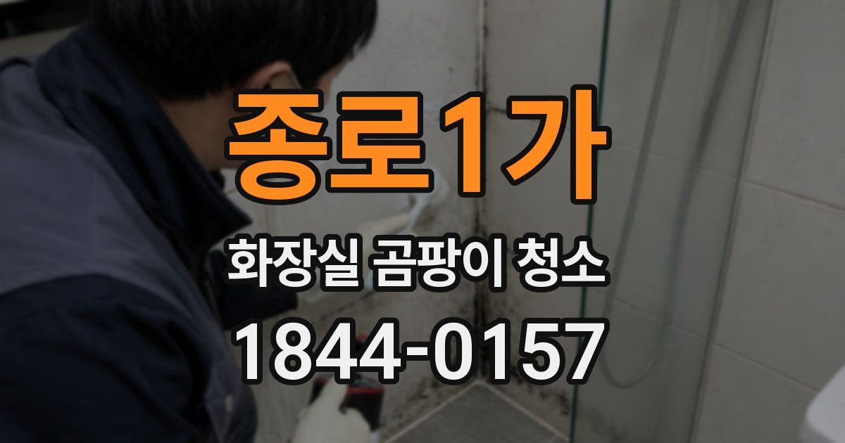 종로1가 화장실 곰팡이 청소