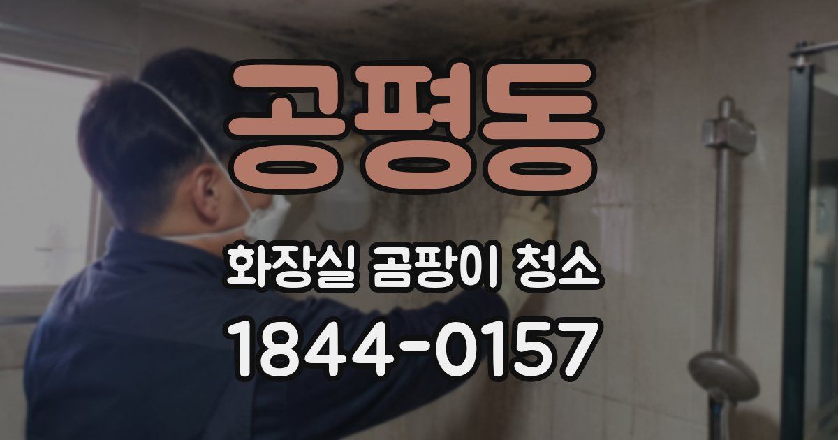 공평동 화장실 곰팡이 청소
