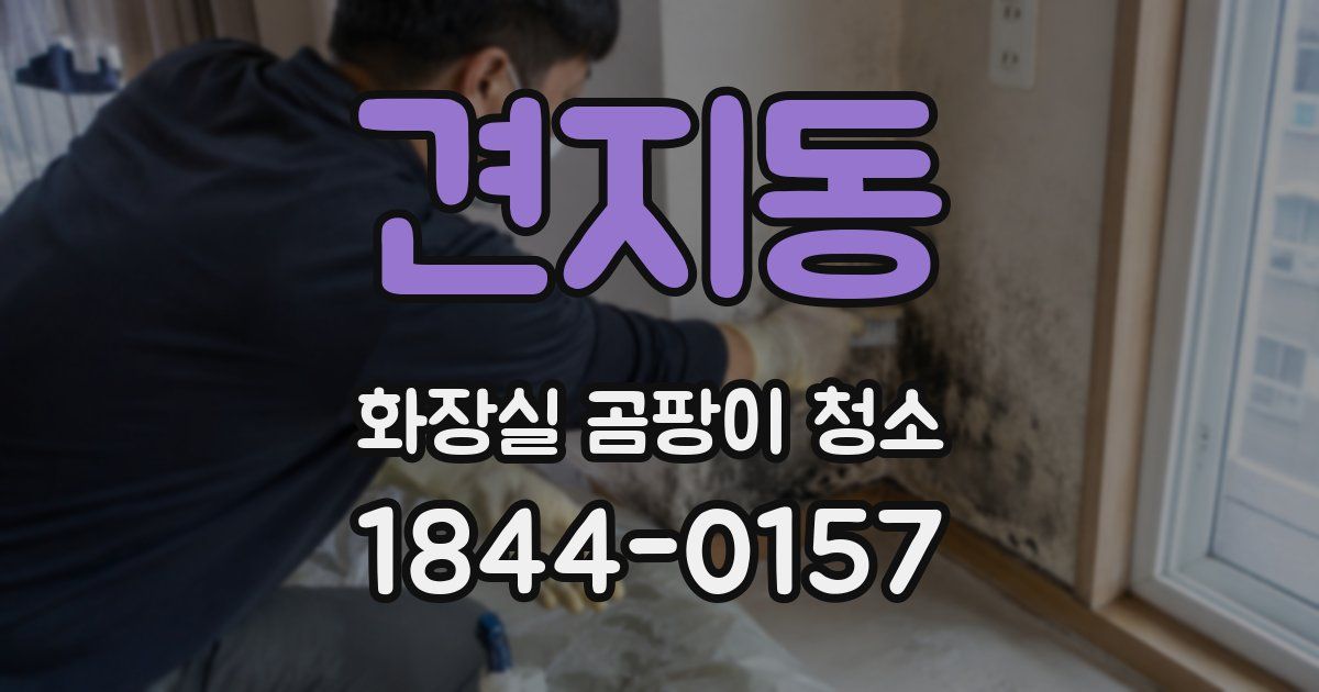 견지동 화장실 곰팡이 청소