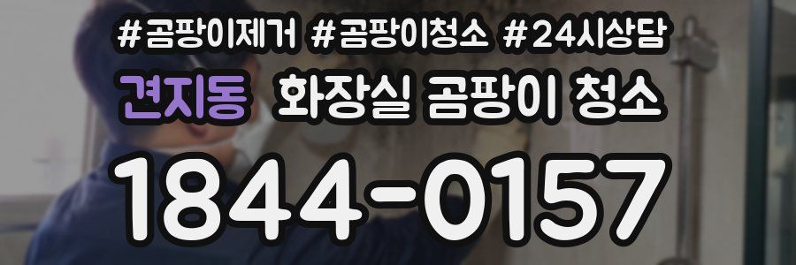 견지동 화장실 곰팡이 청소