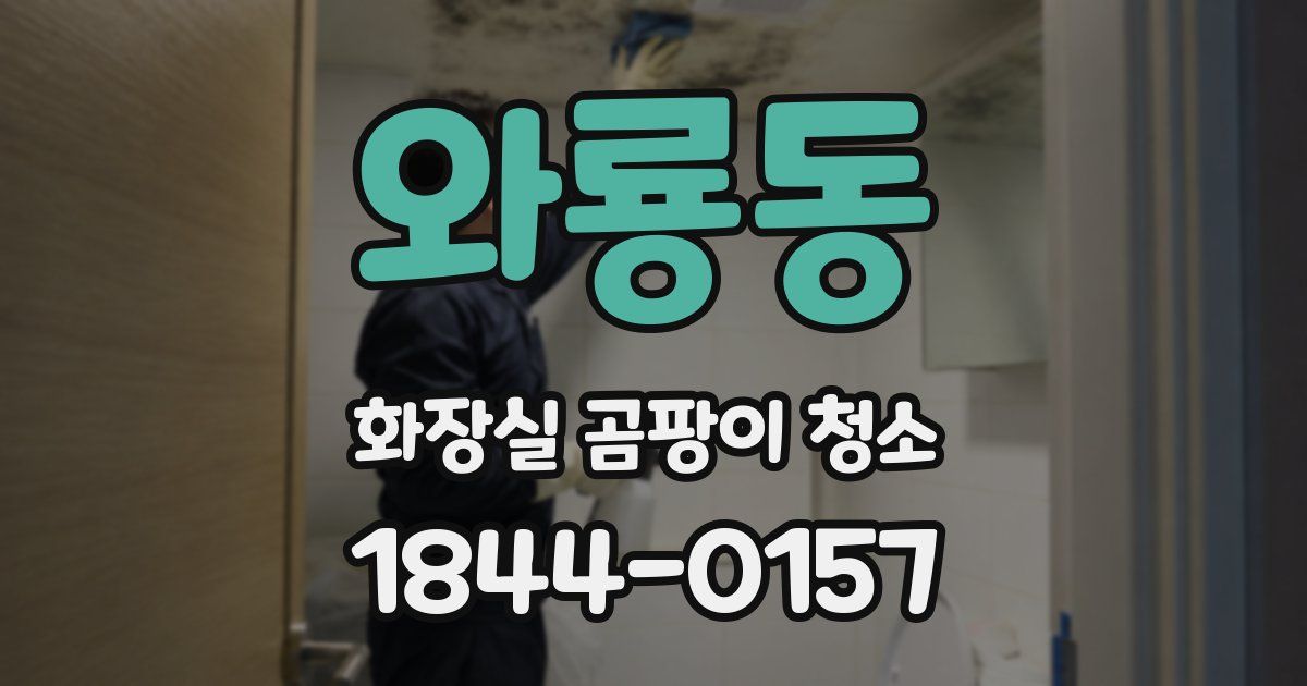 와룡동 화장실 곰팡이 청소