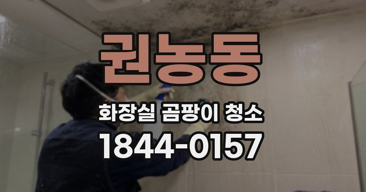 권농동 화장실 곰팡이 청소