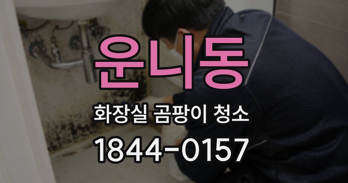 운니동 화장실 곰팡이 청소