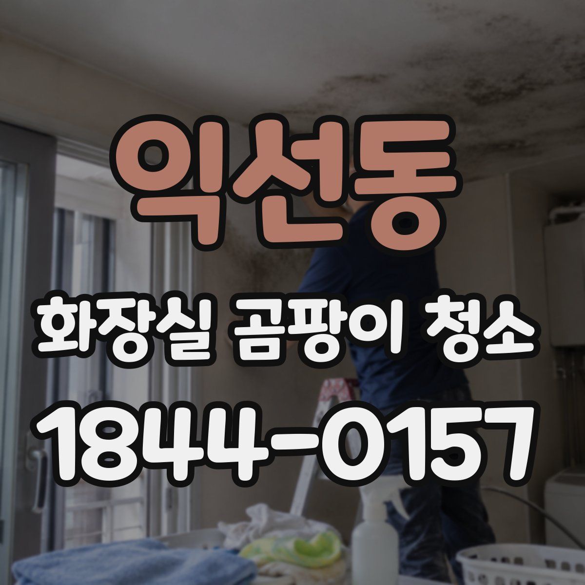 익선동 화장실 곰팡이 청소