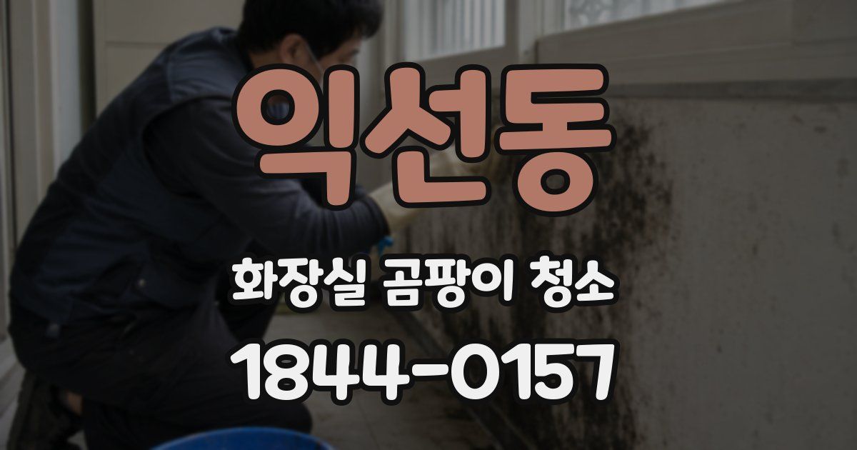 익선동 화장실 곰팡이 청소