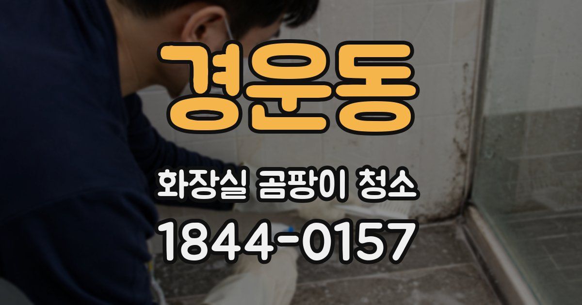 경운동 화장실 곰팡이 청소