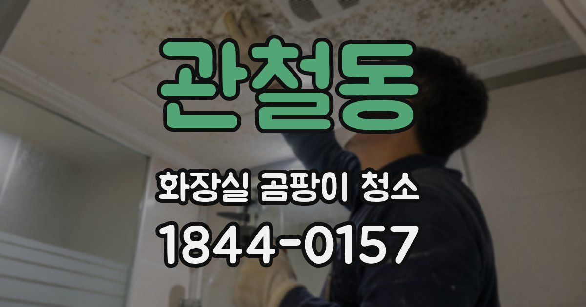관철동 화장실 곰팡이 청소