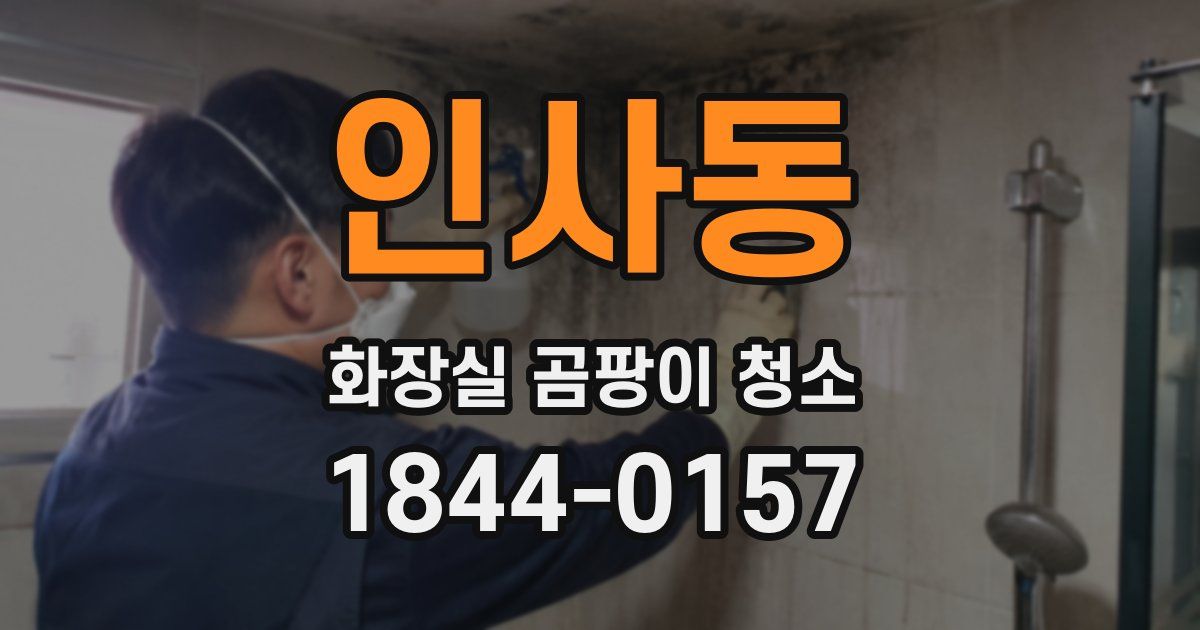 인사동 화장실 곰팡이 청소