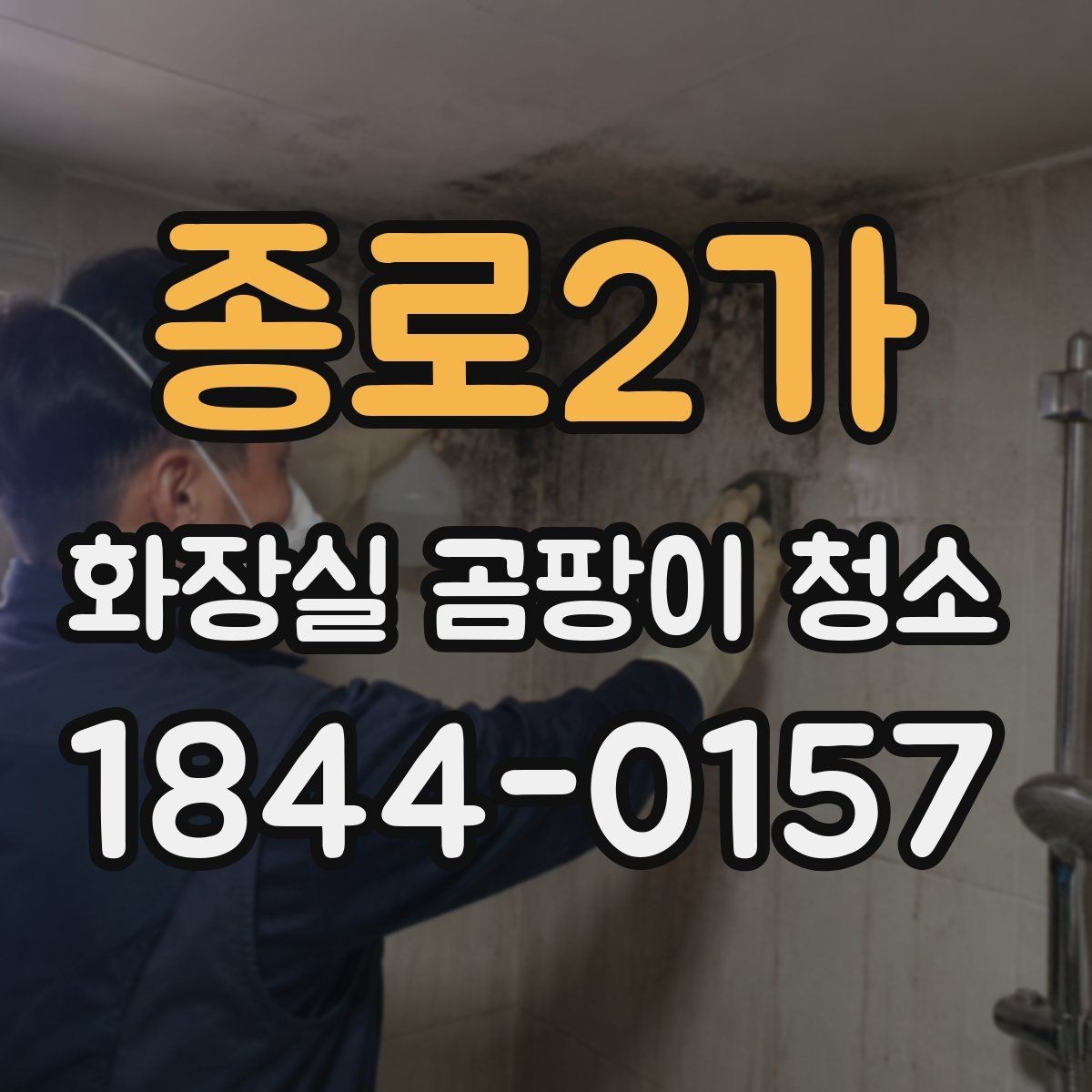 종로2가 화장실 곰팡이 청소 코너 사각지대까지 놓치지 않는 법