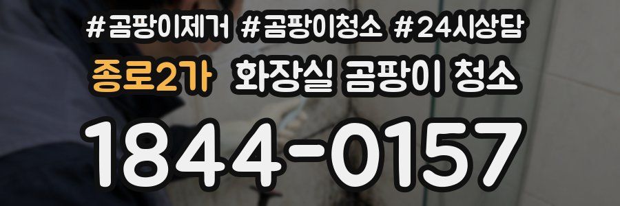 종로2가 화장실 곰팡이 청소