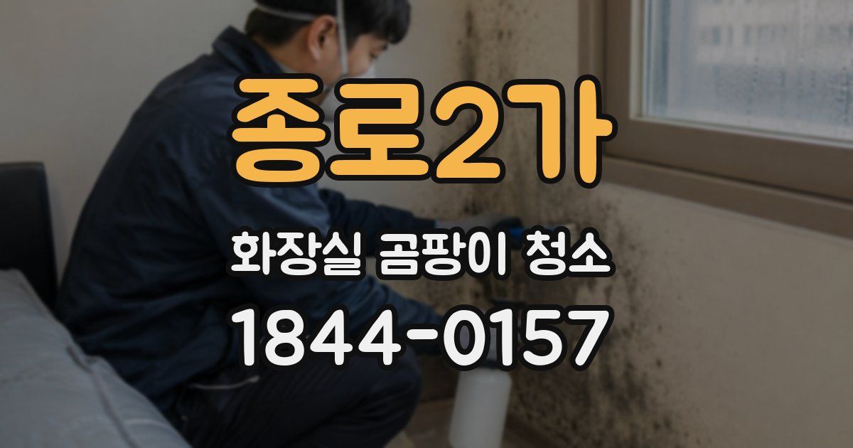 종로2가 화장실 곰팡이 청소