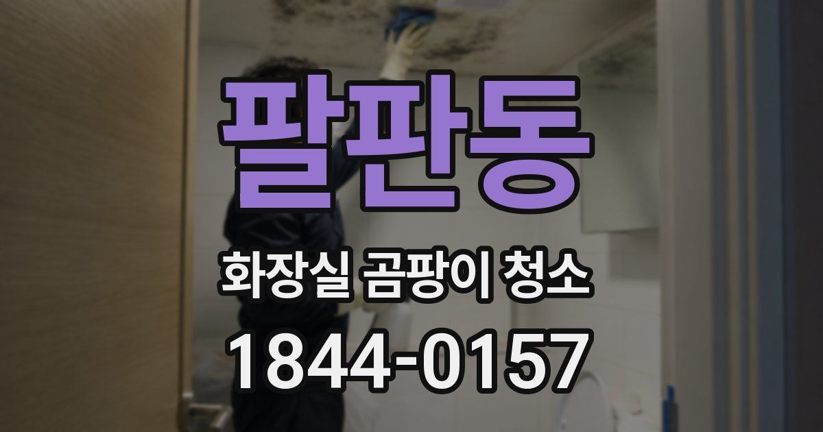 팔판동 화장실 곰팡이 청소