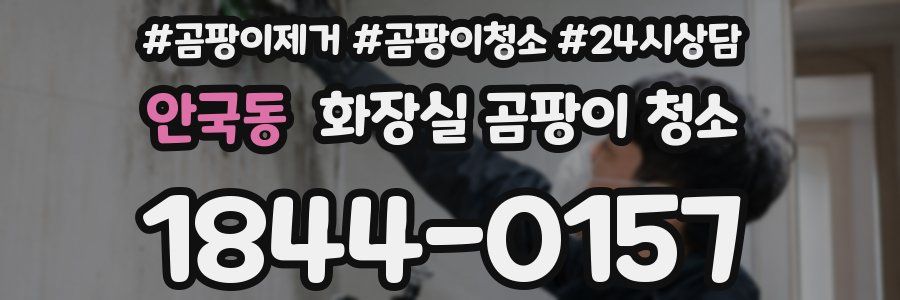안국동 화장실 곰팡이 청소