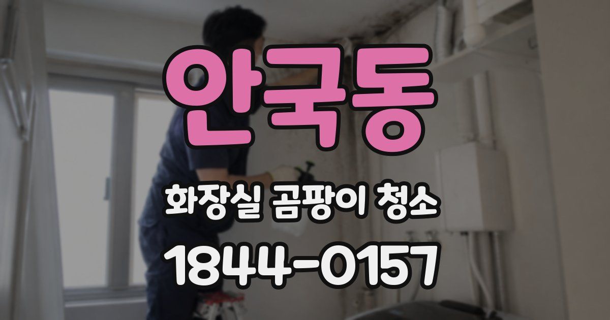 안국동 화장실 곰팡이 청소