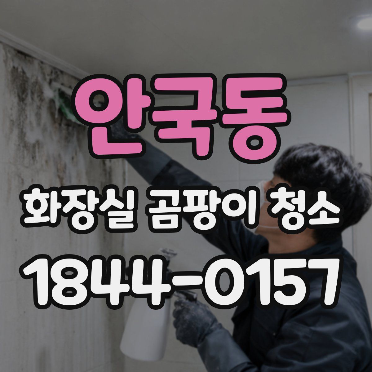 안국동 화장실 곰팡이 청소