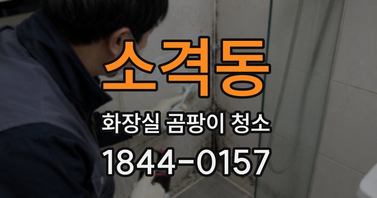 소격동 화장실 곰팡이 청소