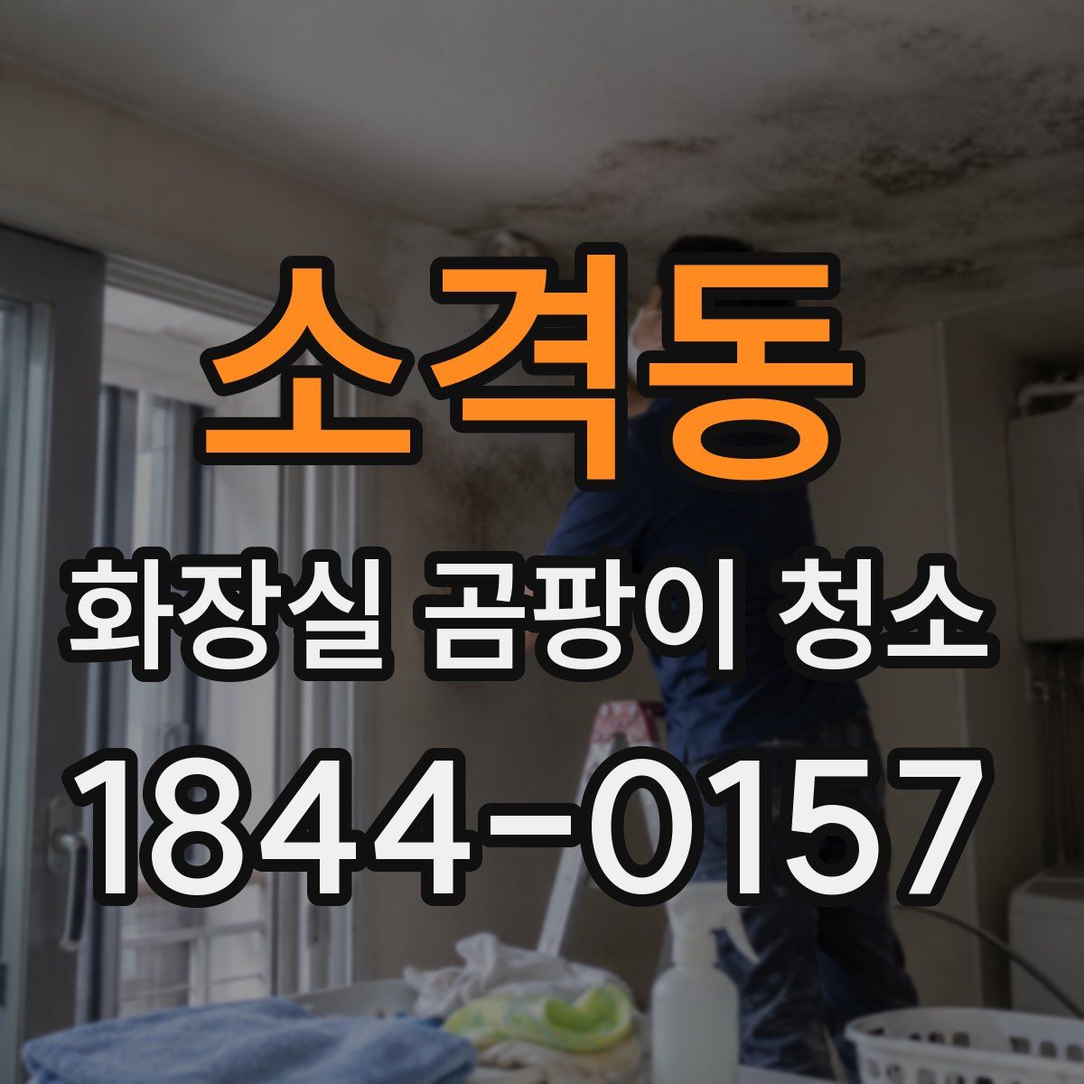소격동 화장실 곰팡이 청소