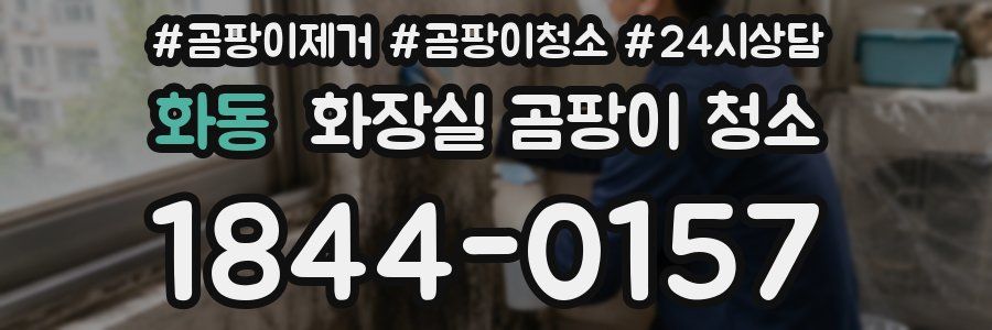 화동 화장실 곰팡이 청소