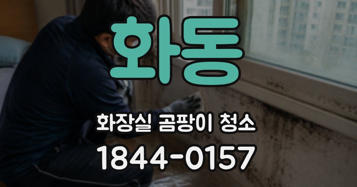 화동 화장실 곰팡이 청소