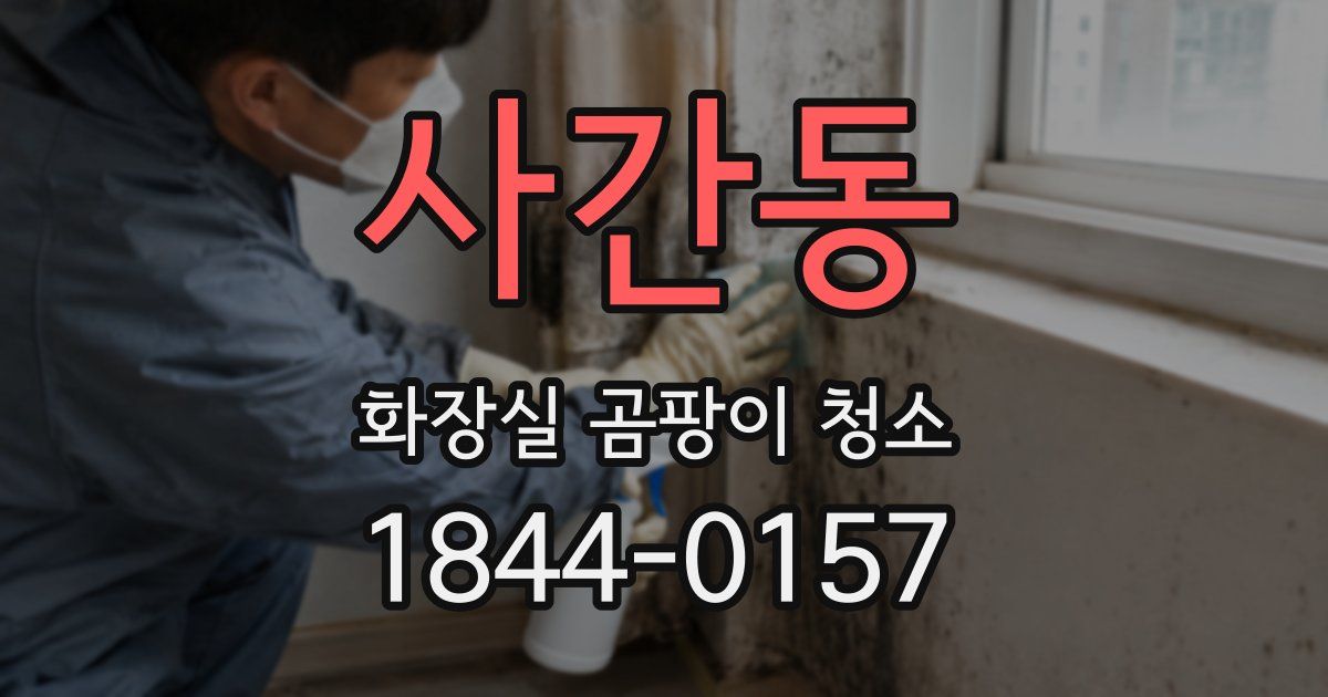 사간동 화장실 곰팡이 청소