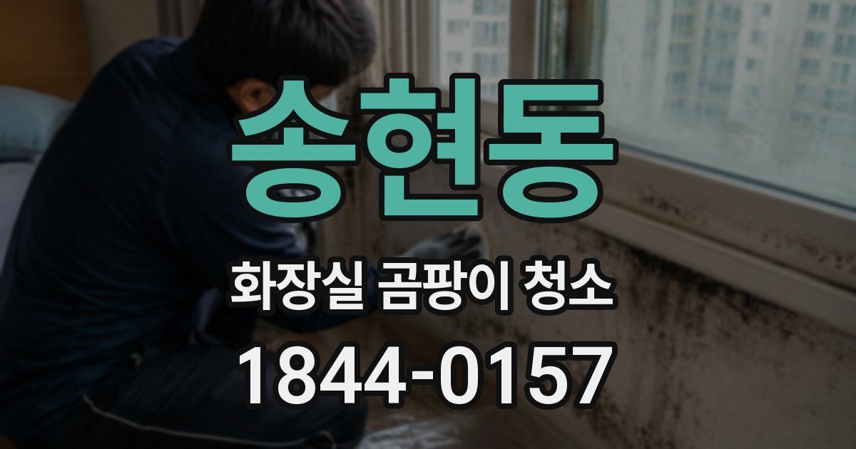 송현동 화장실 곰팡이 청소