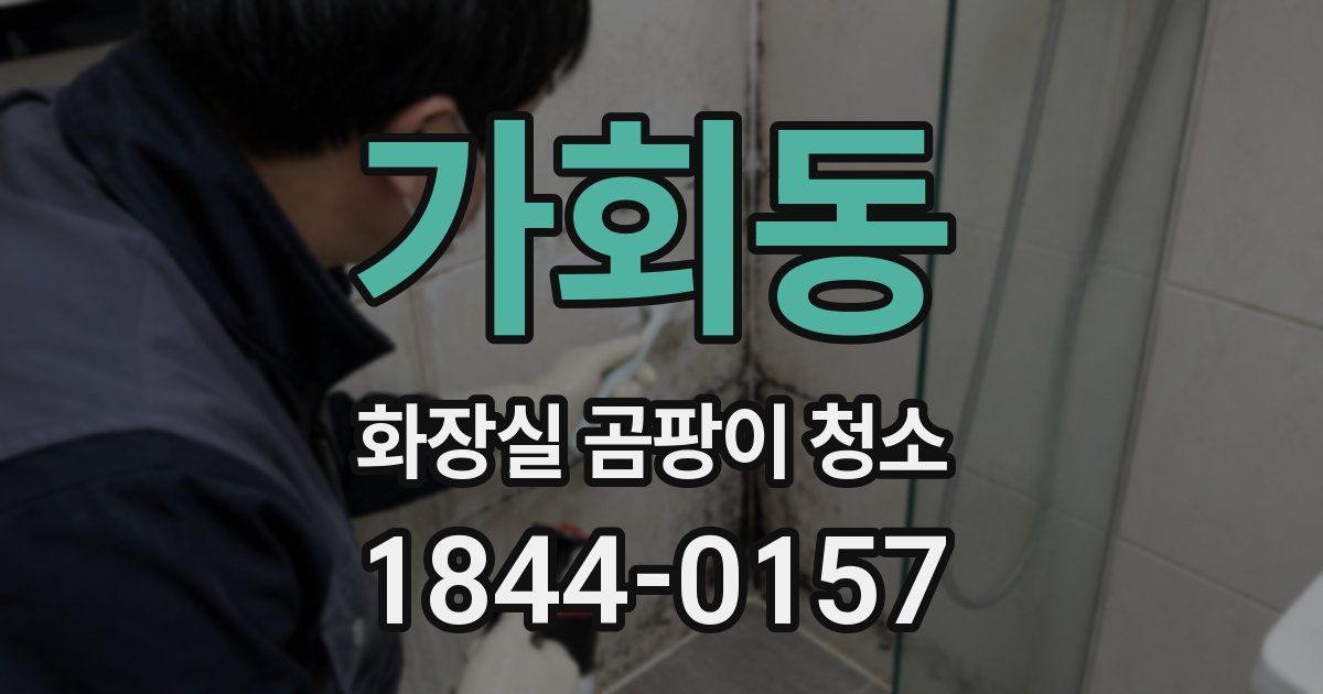 가회동 화장실 곰팡이 청소