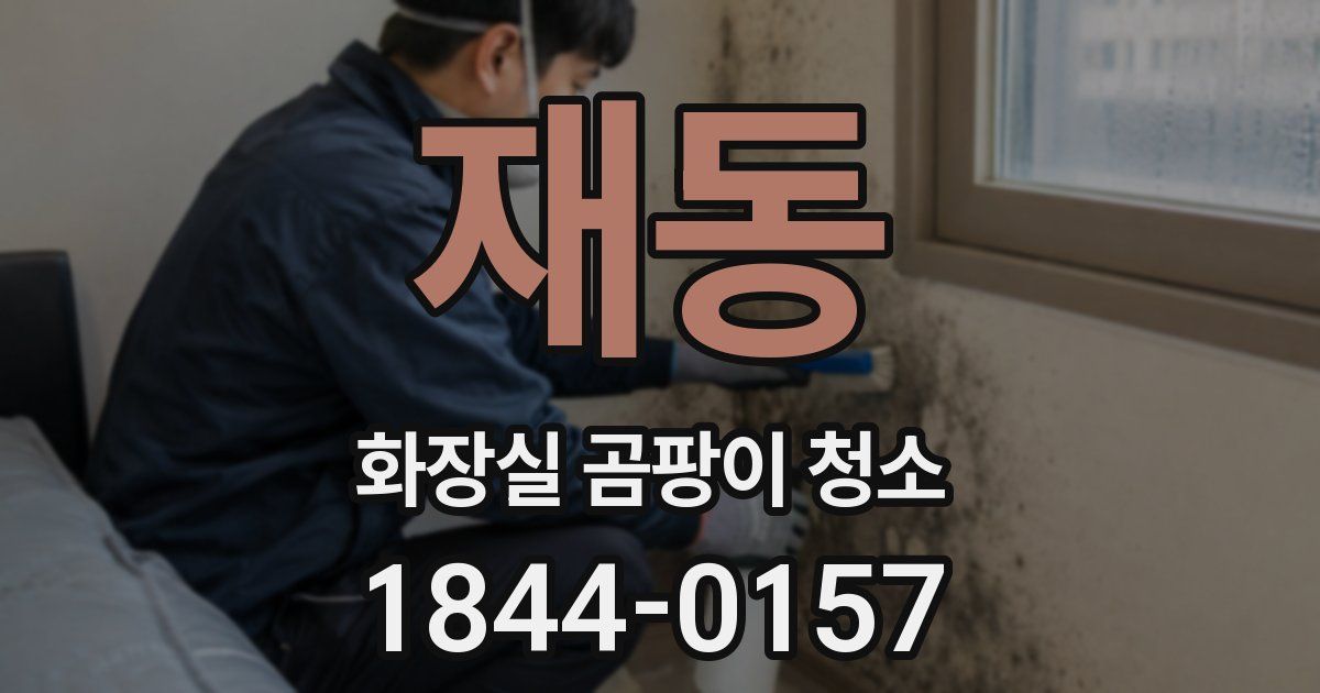 재동 화장실 곰팡이 청소