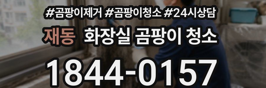 재동 화장실 곰팡이 청소