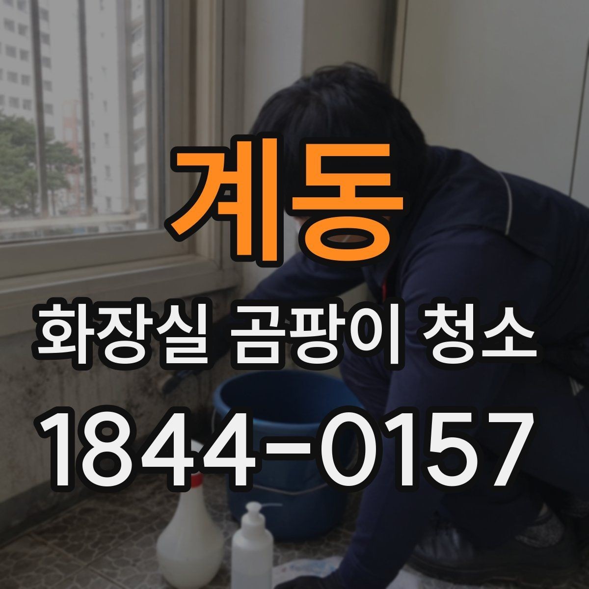 계동 화장실 곰팡이 청소 실리콘 변색과 벽면 오염 구분하기