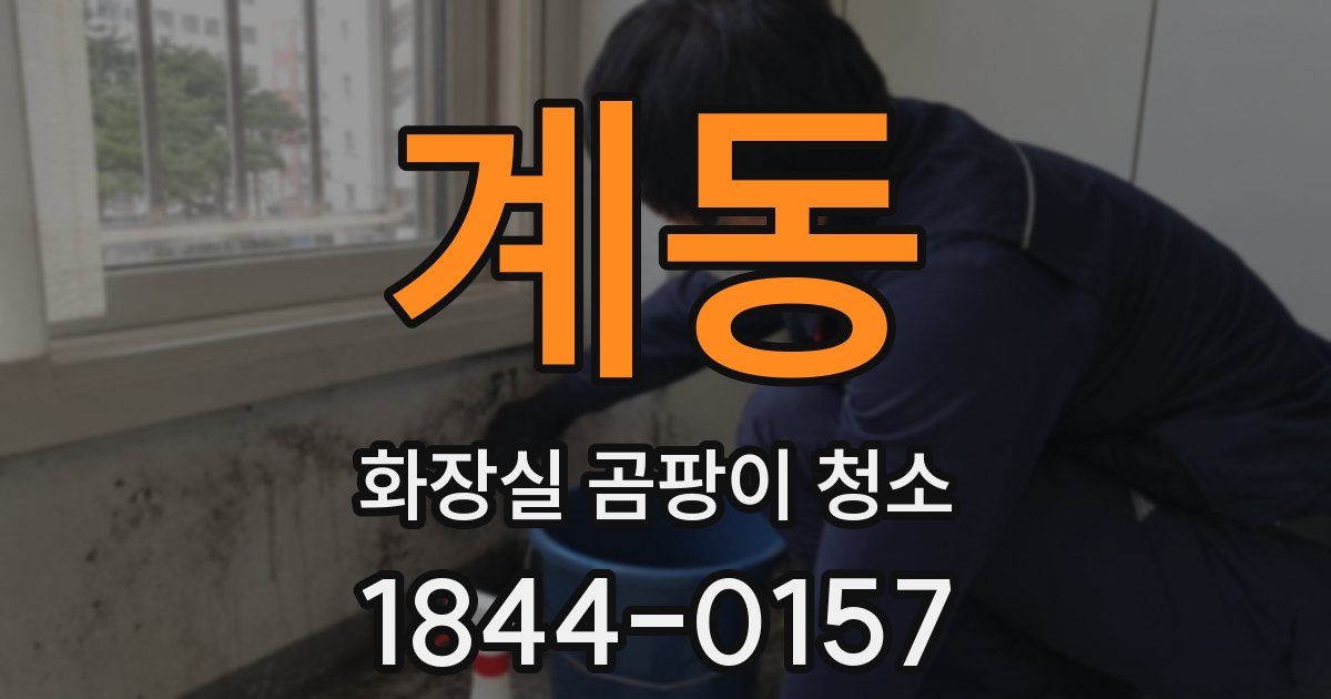 계동 화장실 곰팡이 청소