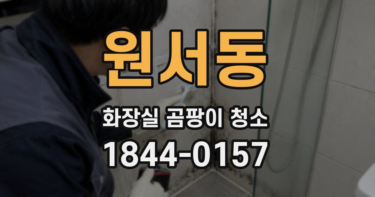 원서동 화장실 곰팡이 청소