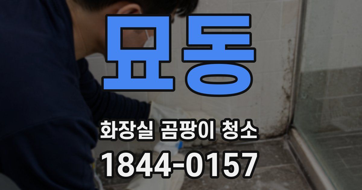 묘동 화장실 곰팡이 청소