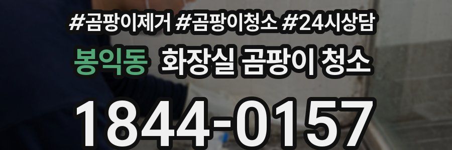 봉익동 화장실 곰팡이 청소