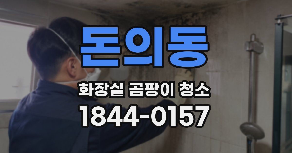 돈의동 화장실 곰팡이 청소