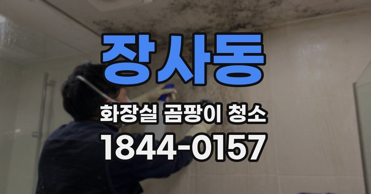 장사동 화장실 곰팡이 청소