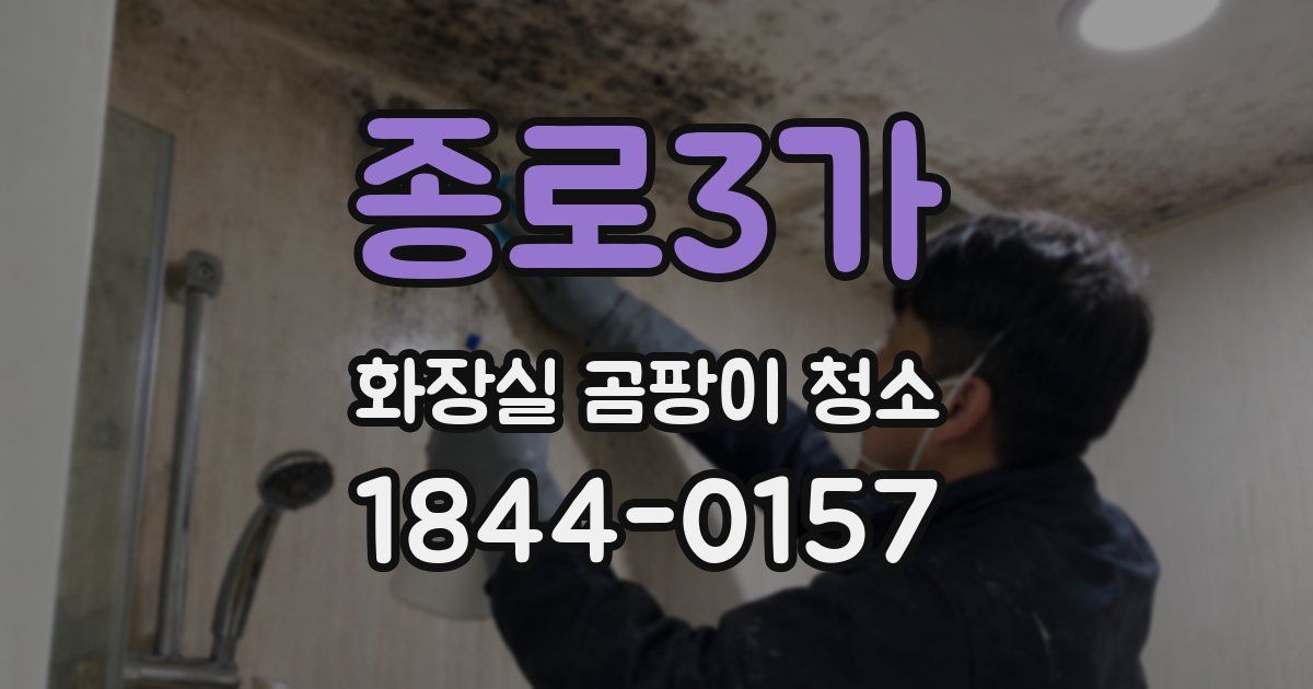 종로3가 화장실 곰팡이 청소
