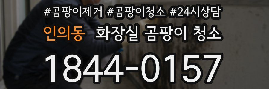 인의동 화장실 곰팡이 청소
