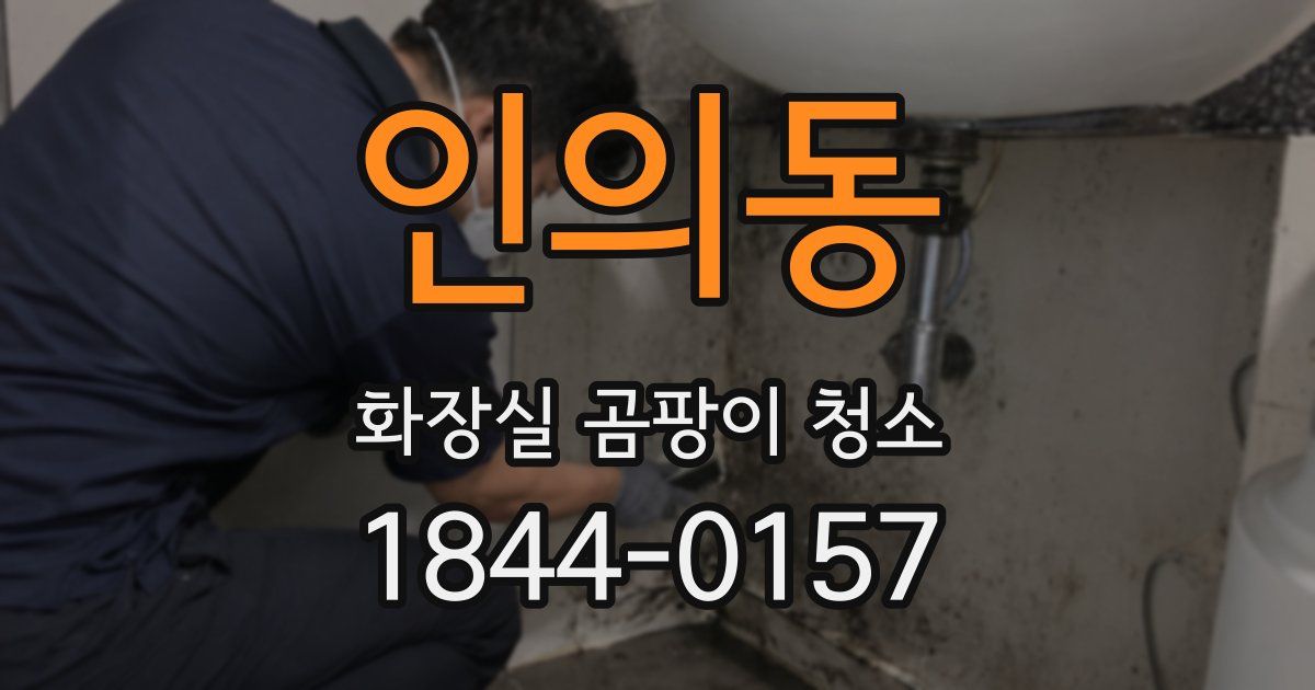 인의동 화장실 곰팡이 청소