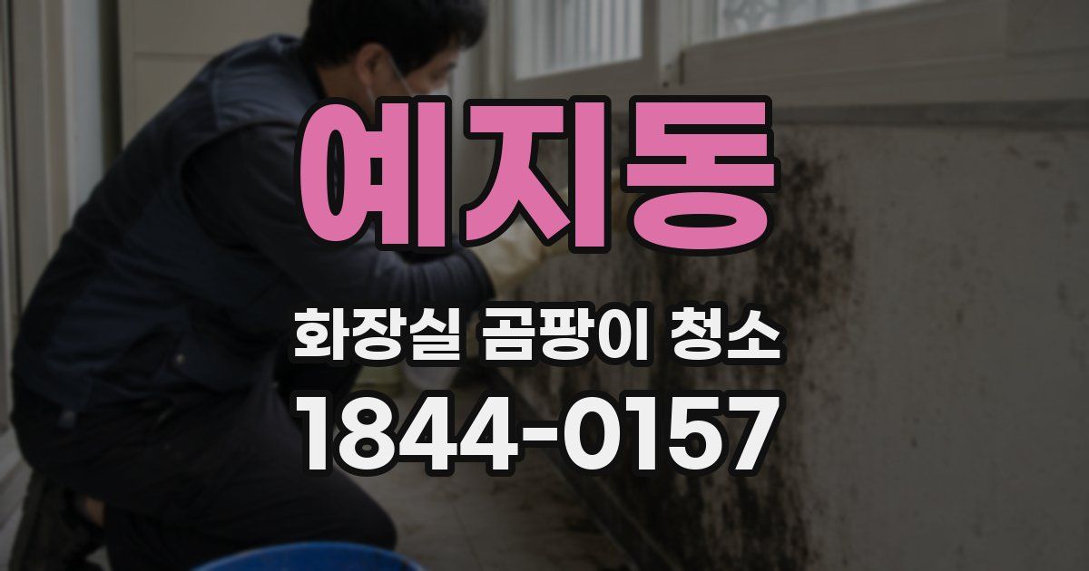 예지동 화장실 곰팡이 청소