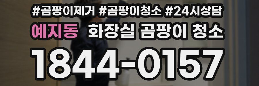 예지동 화장실 곰팡이 청소