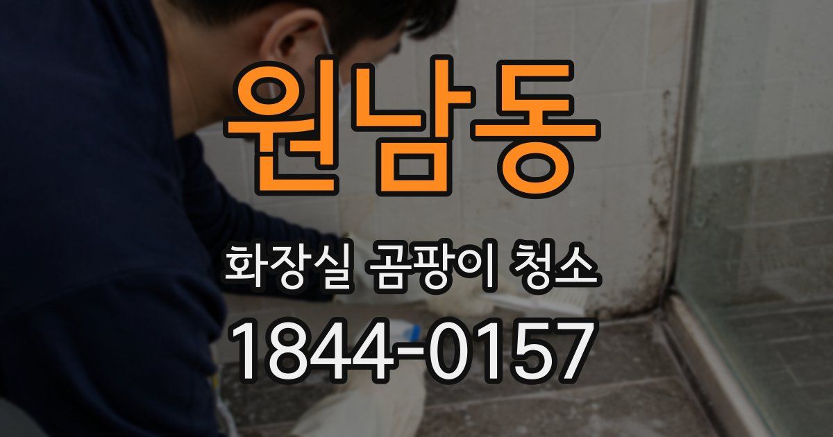 원남동 화장실 곰팡이 청소
