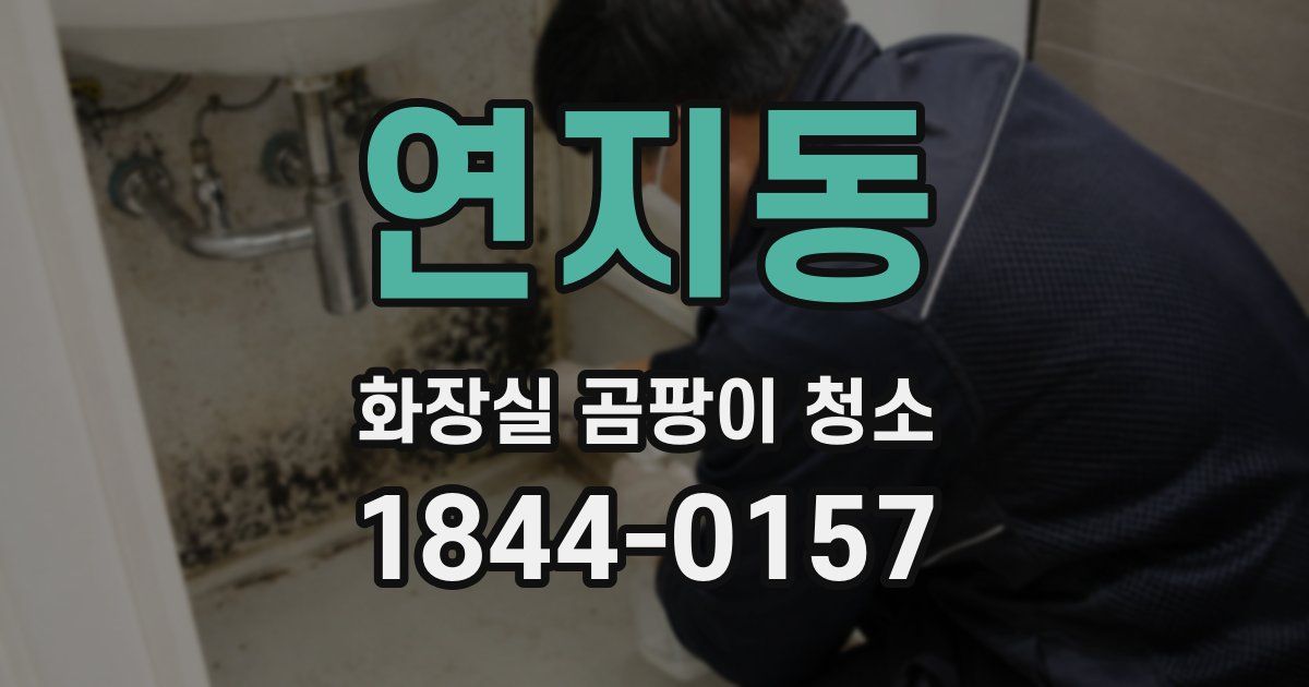 연지동 화장실 곰팡이 청소
