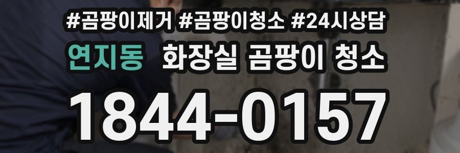 연지동 화장실 곰팡이 청소