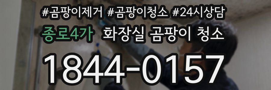 종로4가 화장실 곰팡이 청소