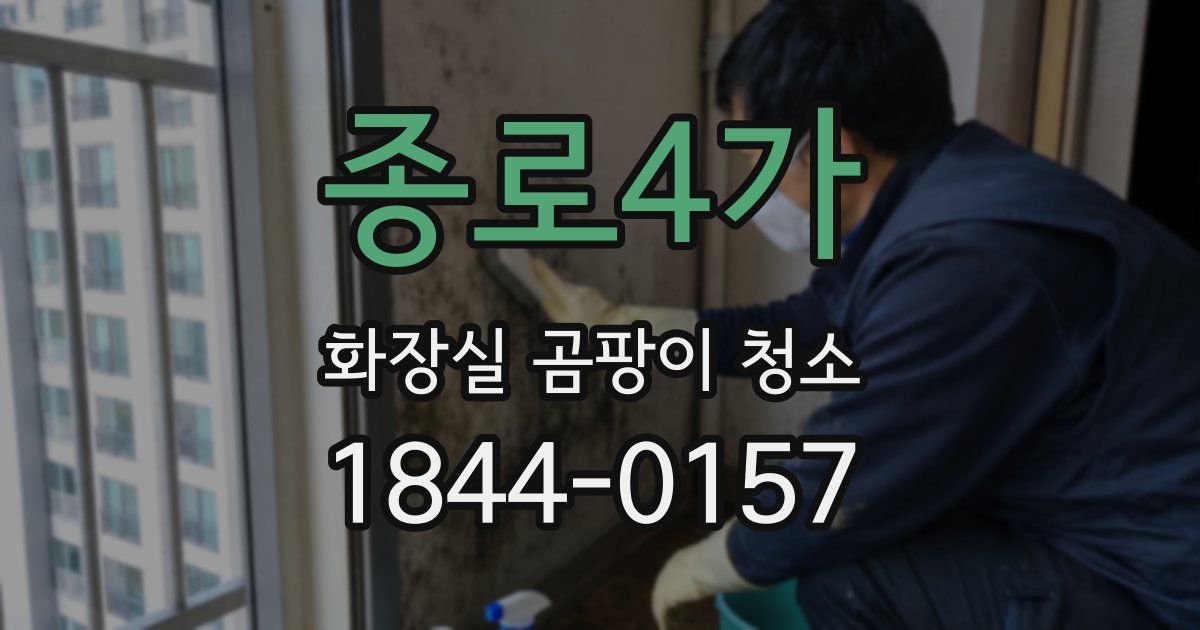 종로4가 화장실 곰팡이 청소