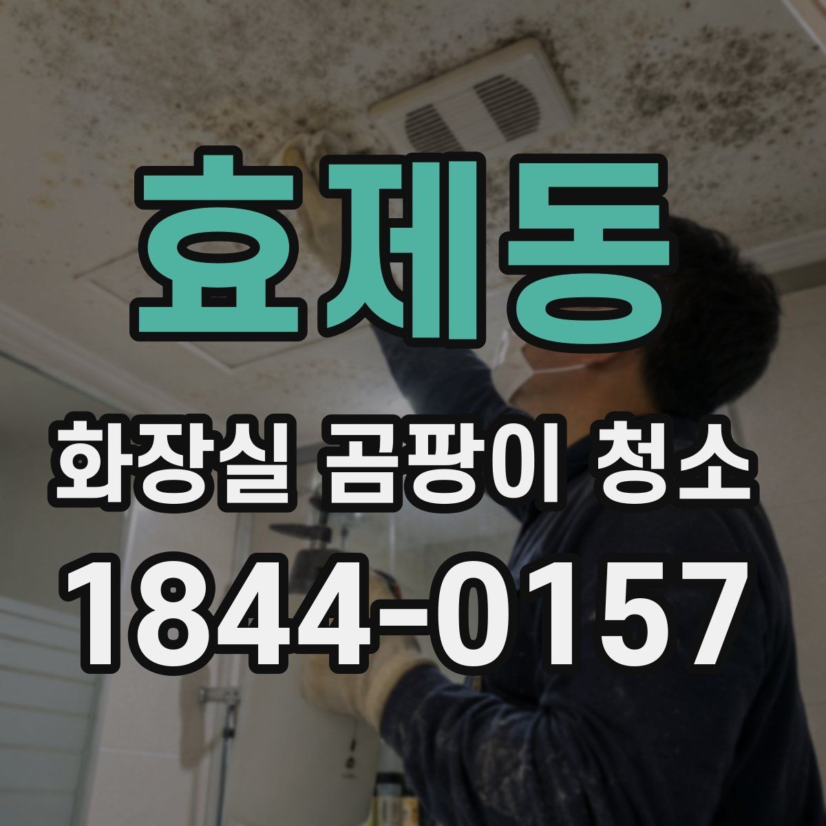 효제동 화장실 곰팡이 청소 실리콘 교체 시점은 어떻게 볼까