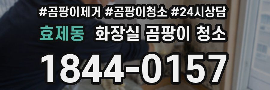 효제동 화장실 곰팡이 청소