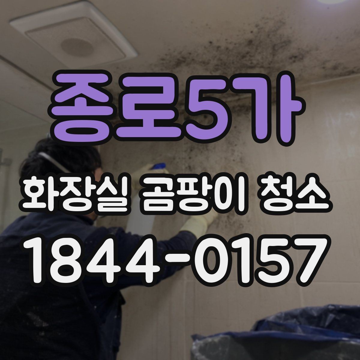 종로5가 화장실 곰팡이 청소 민감한 재질에 부담 덜한 관리법